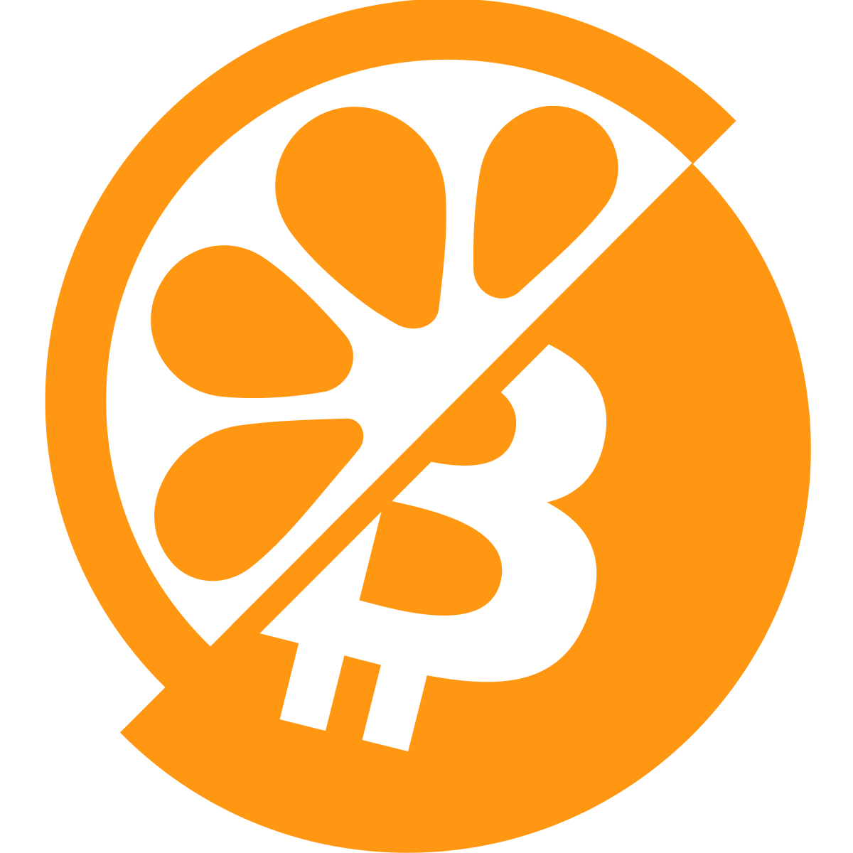 Satoshi Spritz Logo